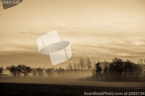 Image of Morning mist