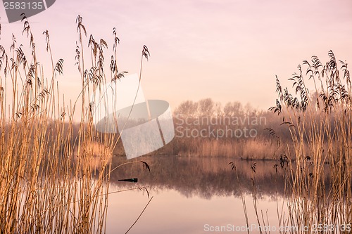 Image of Idyllic lake