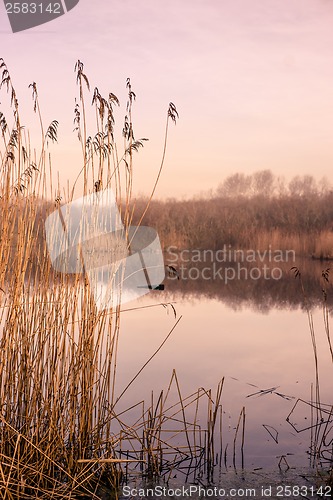 Image of Idyllic lake
