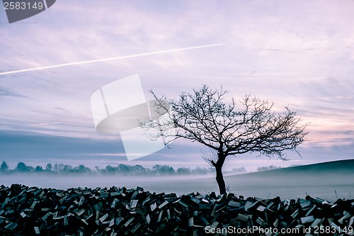 Image of Morning mist