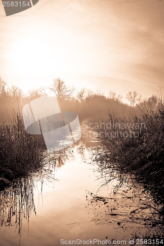 Image of Idyllic lake