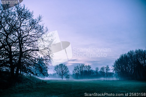 Image of Morning mist