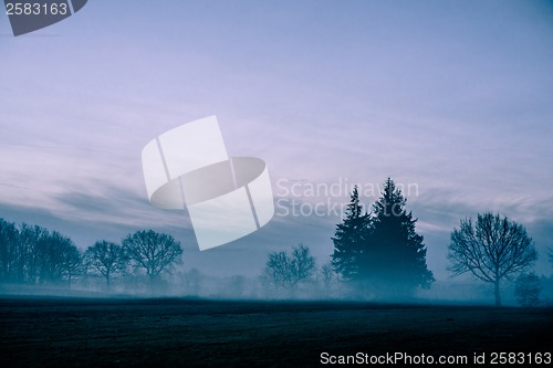 Image of Morning mist