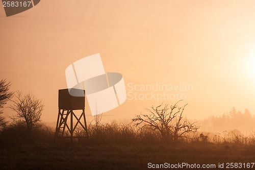Image of Lookout tower