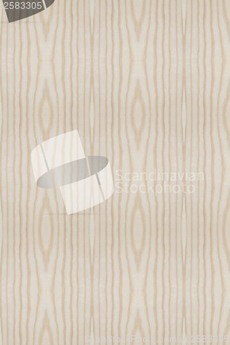 Image of wood texture