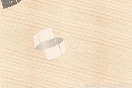 Image of wood texture