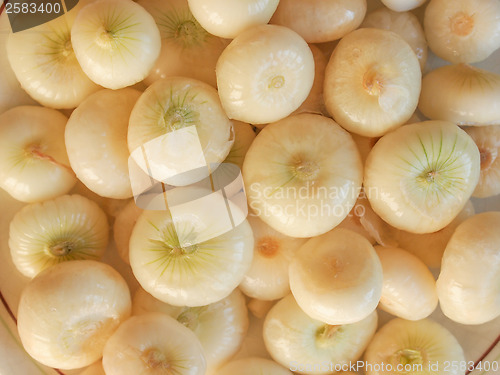 Image of Onions