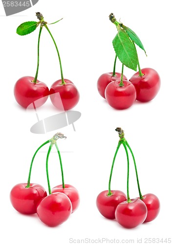 Image of Cherry