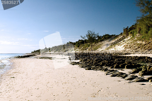 Image of Sand dunes on a beach