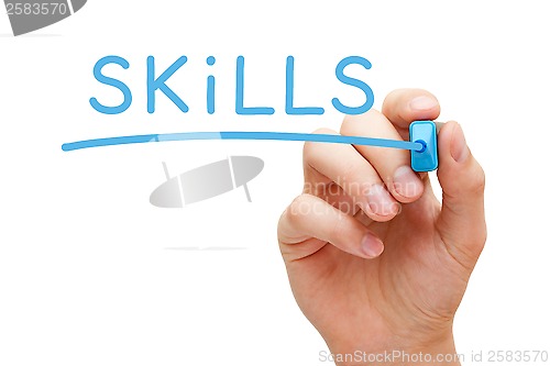 Image of Skills Blue Marker