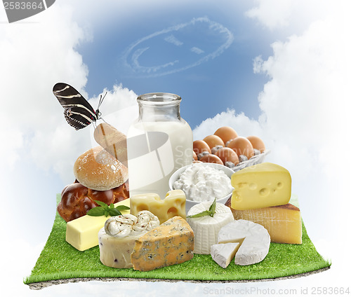Image of Dairy Products