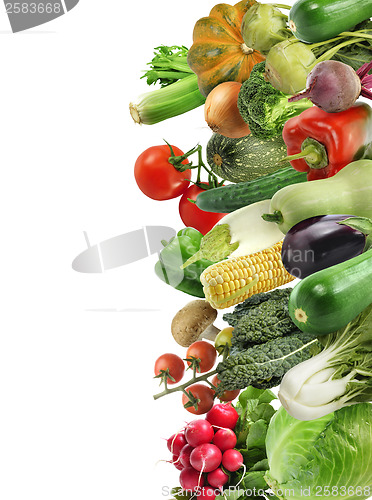 Image of Fresh Vegetables