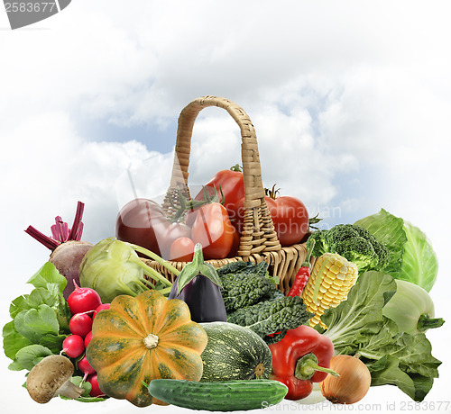 Image of Fresh Vegetables