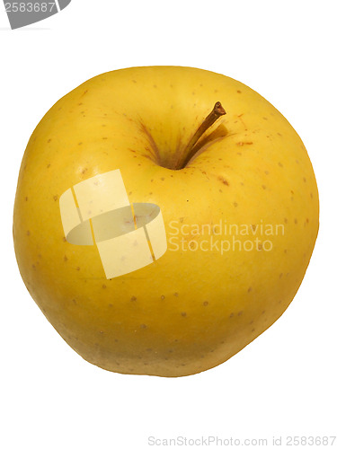 Image of Apple fruit