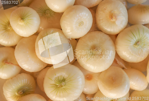 Image of Onions
