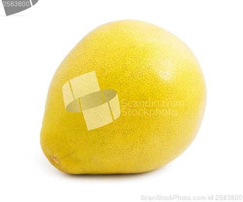 Image of Pomelo