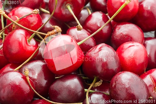 Image of Red cherry