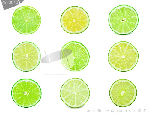 Image of Lime