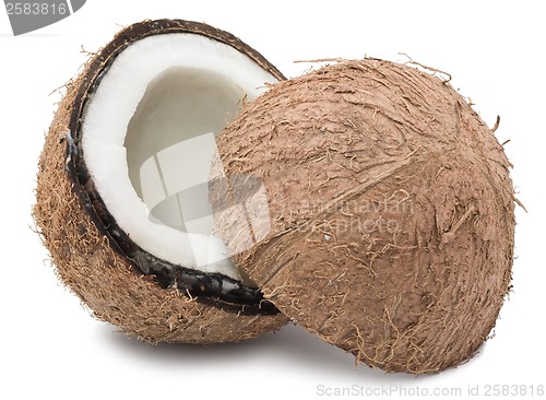 Image of Coconut