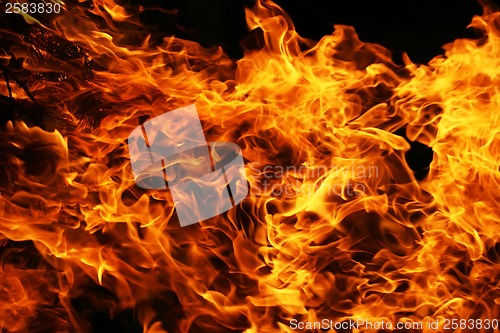 Image of Fire