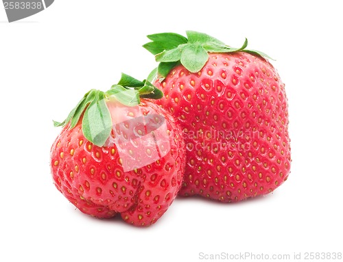Image of Strawberry