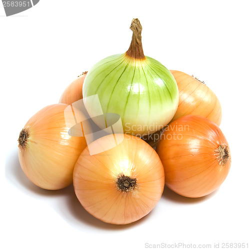 Image of onion isolated on white background