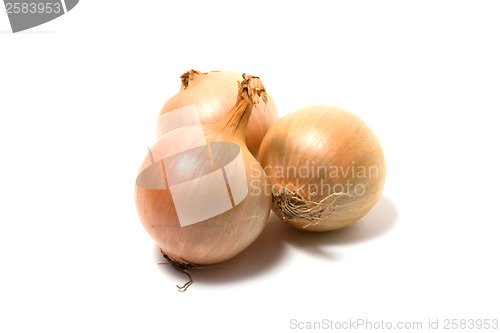 Image of Onion isolated on white