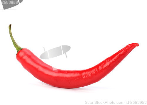 Image of Chili pepper isolated on white background