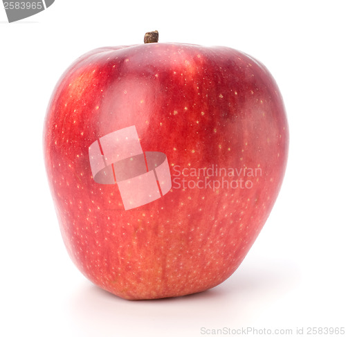 Image of red apple isolated on white background