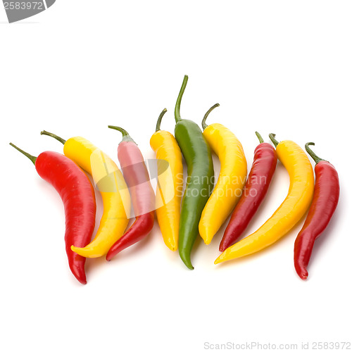 Image of Chili pepper isolated on white background