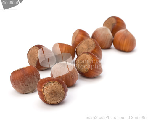 Image of hazelnuts isolated on white background