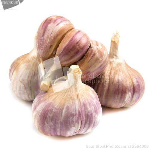 Image of garlic isolated on white