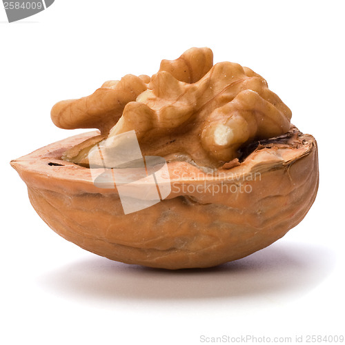 Image of walnut