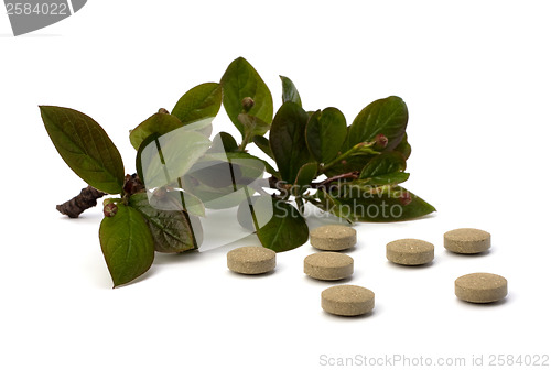 Image of herbal medicine isolated on white background 