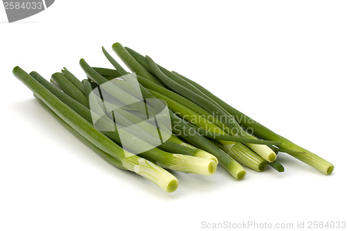 Image of spring onion 