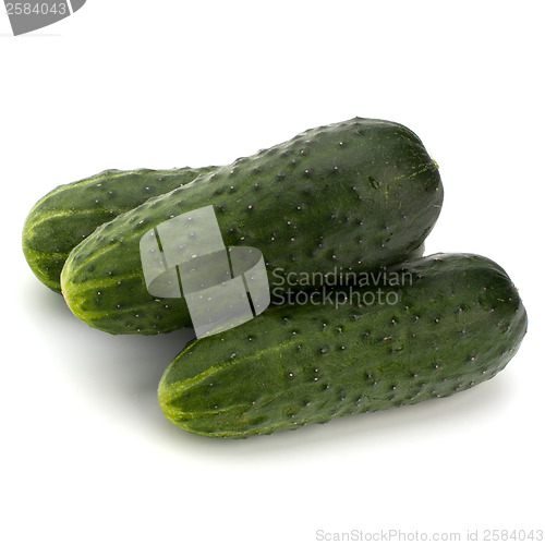 Image of cucumber