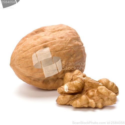 Image of walnut