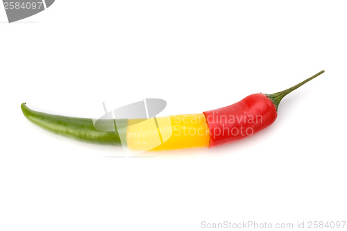 Image of Chili pepper isolated on white background