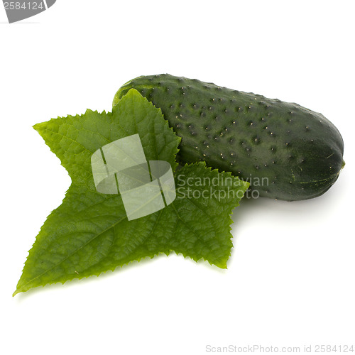 Image of cucumber