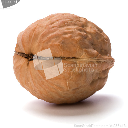 Image of walnut