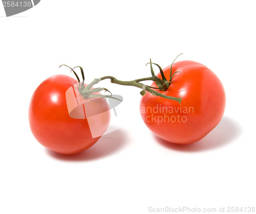 Image of fasten tomato isolated on white background 