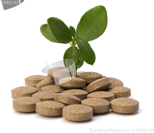 Image of herbal pills