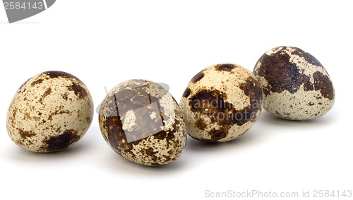 Image of quail eggs