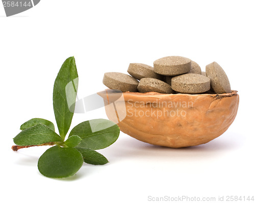 Image of herbal pills