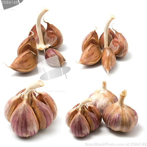 Image of garlic isolated on white