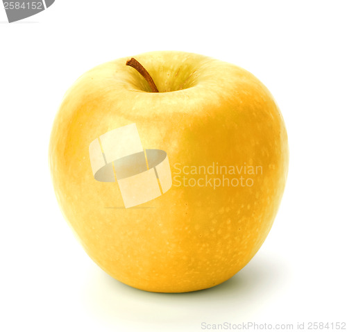 Image of gold apple isolated on white background