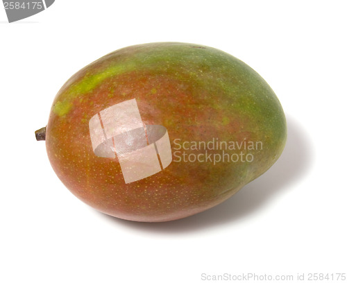 Image of single mango isolated on white background