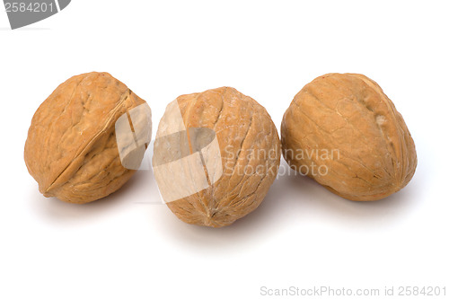 Image of Circassian walnut isolated on the white background 