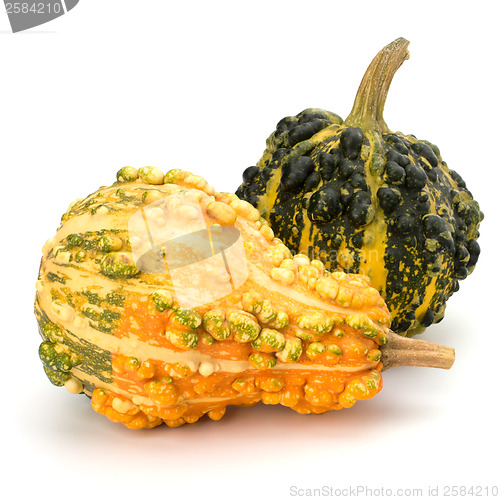 Image of Decorative pumpkin 