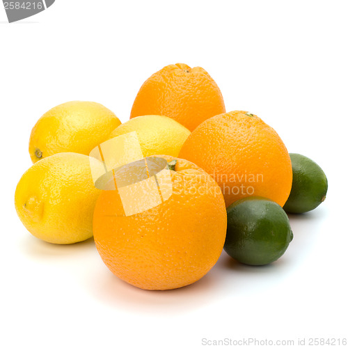 Image of Citrus fruits